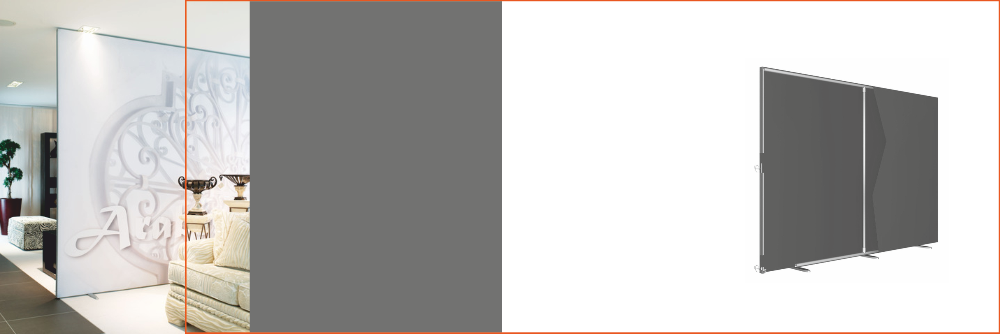 retina